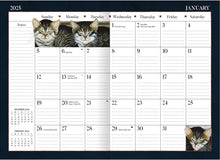 Load image into Gallery viewer, Lang American Cat™ 2025 Monthly Pocket Planner
