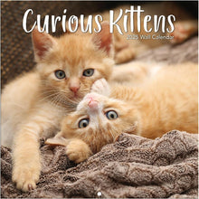 Load image into Gallery viewer, Turner Curious Kittens Photo 2025 Mini Wall Calendar
