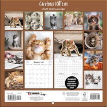 Load image into Gallery viewer, Turner Curious Kittens Photo 2025 Mini Wall Calendar
