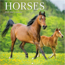 Load image into Gallery viewer, Turner Horses Photo 2025 Mini Wall Calendar
