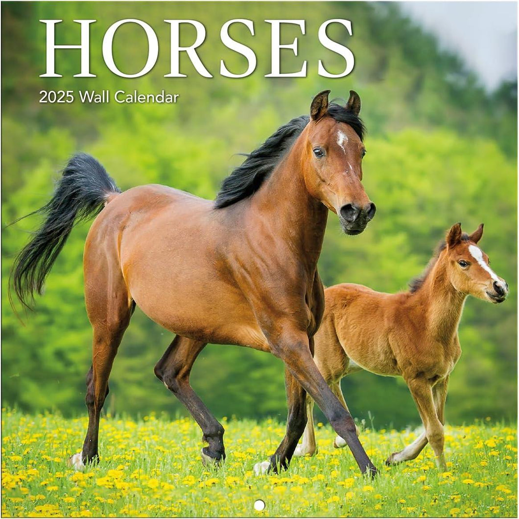 Turner Horses Photo 2025 Mini Wall Calendar