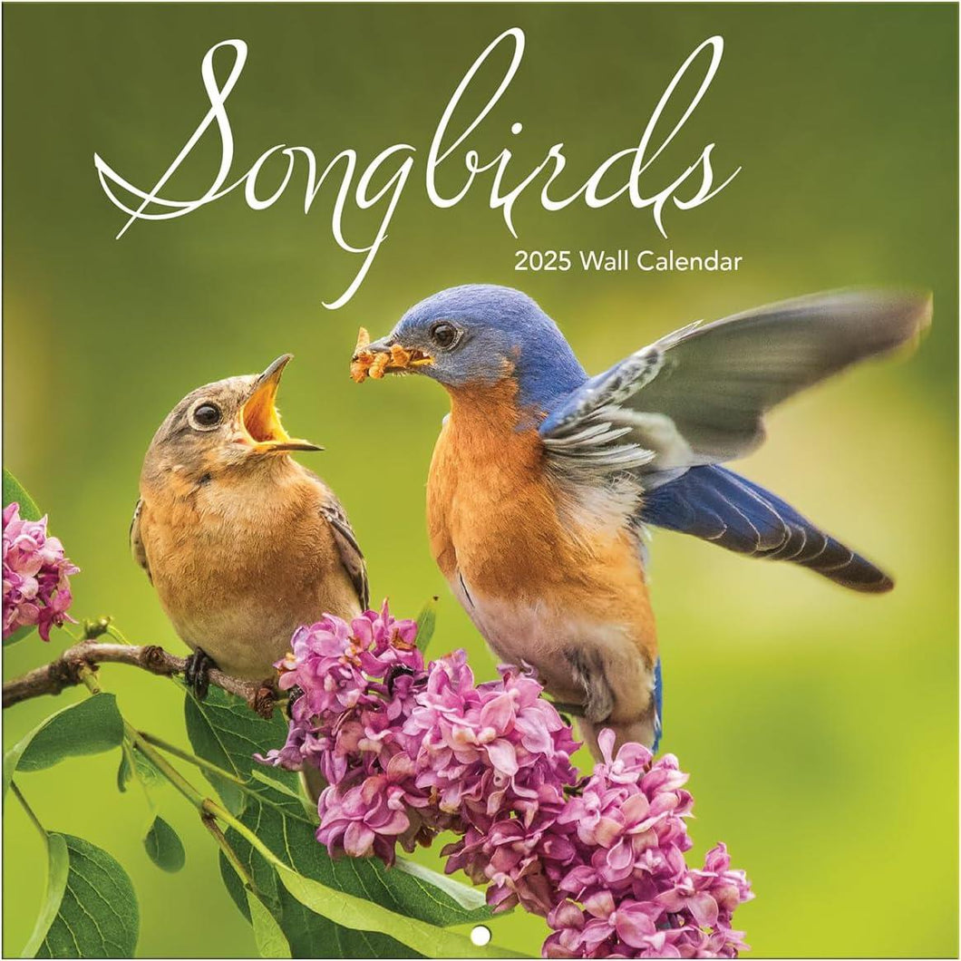 Turner Songbirds Photo 2025 Mini Wall Calendar