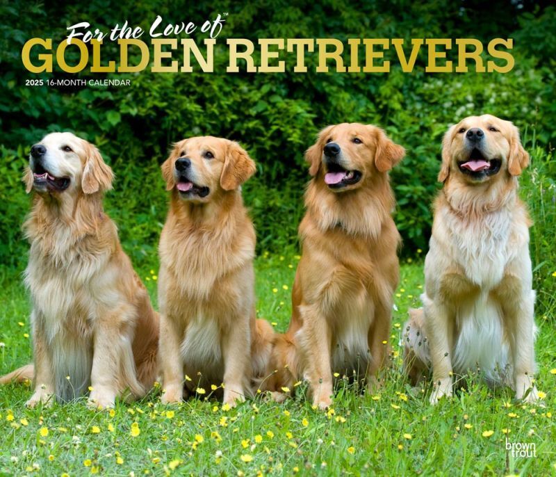 Browntrout For the Love of Golden Retrievers 2025 14 x 12 Deluxe Wall Calendar