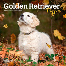 Load image into Gallery viewer, Browntrout Golden Retriever Puppies 2025 7 x 7 Mini Calendar
