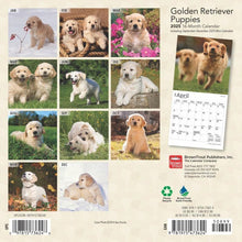 Load image into Gallery viewer, Browntrout Golden Retriever Puppies 2025 7 x 7 Mini Calendar
