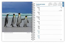 Load image into Gallery viewer, Browntrout Beaches 2025 6 x 7.75 Inch Weekly Engagement Planner
