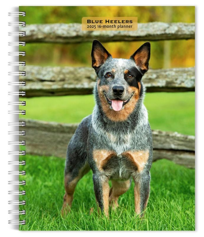 Browntrout Blue Heelers 2025 6 x 7.75 Weekly Engagement Planner