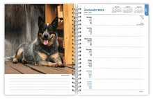 Load image into Gallery viewer, Browntrout Blue Heelers 2025 6 x 7.75 Weekly Engagement Planner
