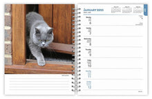 Load image into Gallery viewer, Browntrout Cat Lovers 2025 6 x 7.75 Weekly Engagement Planner
