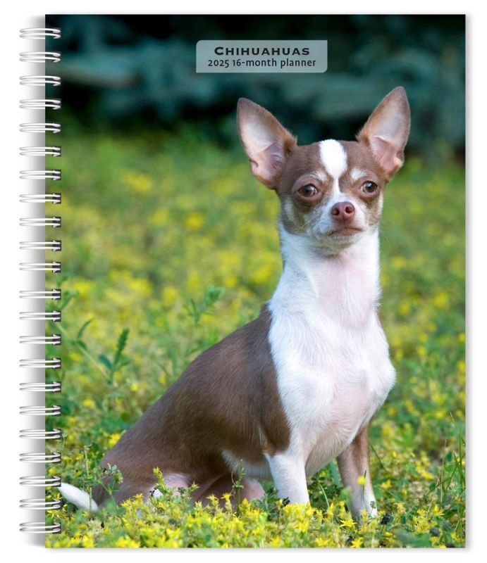 Browntrout Chihuahuas 2025 6 x 7.75 Weekly Engagement Planner