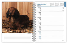 Load image into Gallery viewer, Browntrout Dachshunds 2025 6 x 7.75 Weekly Engagement Planner
