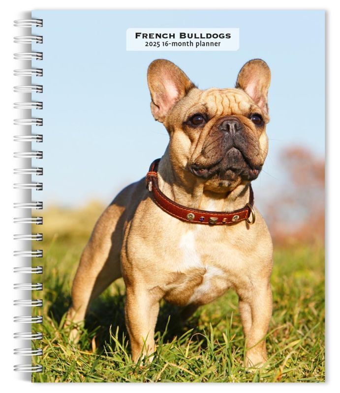 Browntrout French Bulldogs 2025 6 x 7.75 Weekly Engagement Planner