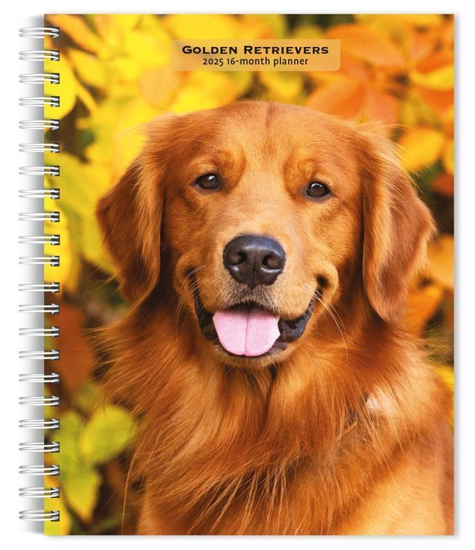 Browntrout Golden Retrievers 2025 6 x 7.75 Weekly Engagement Planner