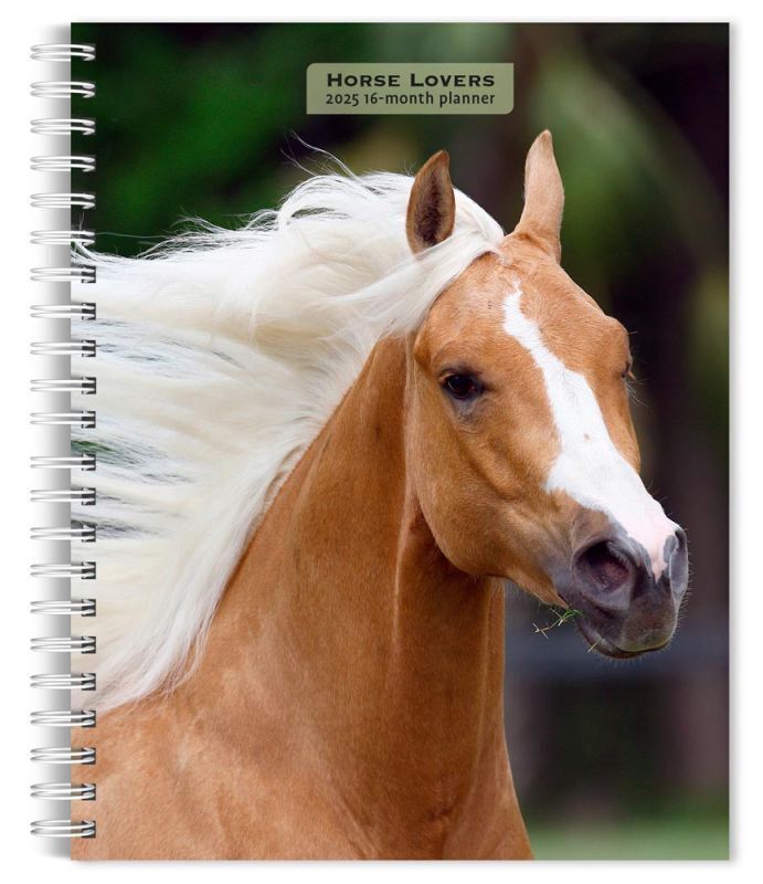 Browntrout Horse Lovers 2025 6 x 7.75 Weekly Engagement Planner