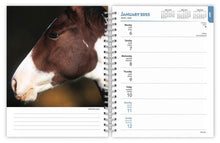 Load image into Gallery viewer, Browntrout Horse Lovers 2025 6 x 7.75 Weekly Engagement Planner
