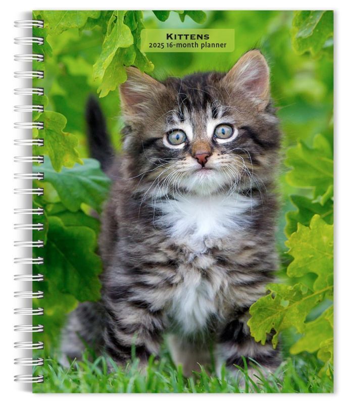 Browntrout Kittens 2025 6 x 7.75 Weekly Engagement Planner