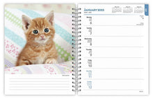 Load image into Gallery viewer, Browntrout Kittens 2025 6 x 7.75 Weekly Engagement Planner
