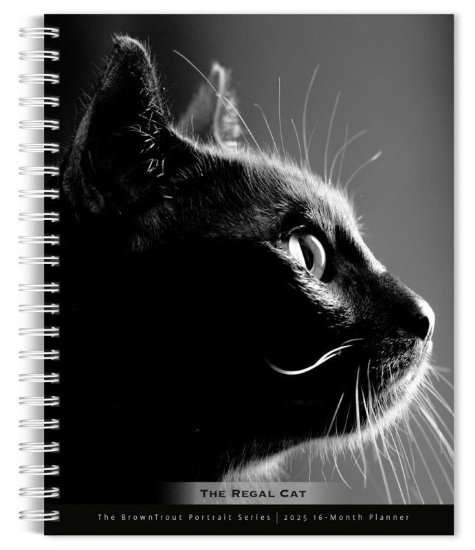 Browntrout Portrait Series: The Regal Cat 2025 6 x 7.75 Engagement Planner