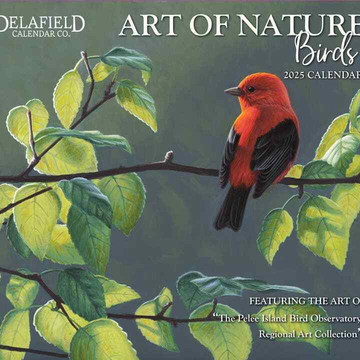 Robert Lang Art of Nature- Birds 2025 Wall Calendar