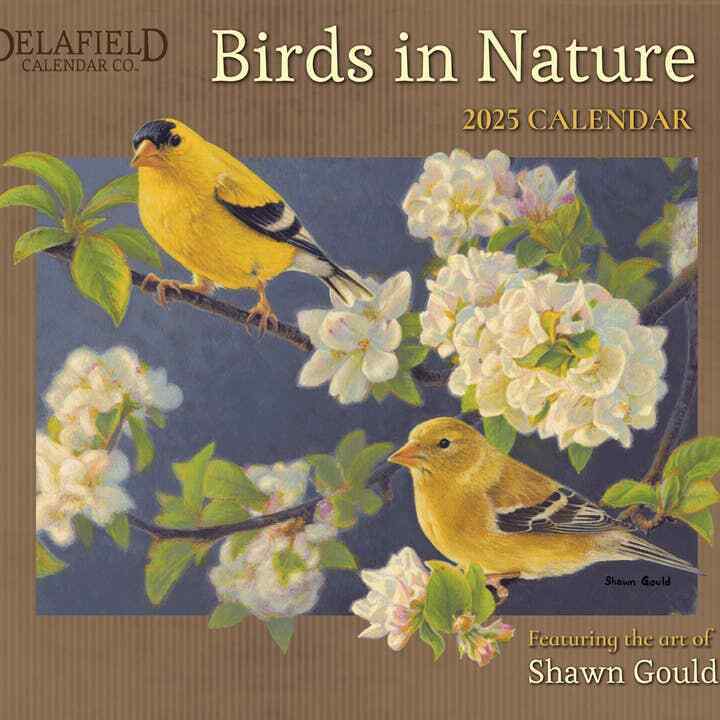 Robert Lang Birds in Nature 2025 Wall Calendar