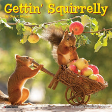 Load image into Gallery viewer, Willow Creek Gettin&#39; Squirrelly 2025 7&quot; x 7&quot; Mini Wall Calendar
