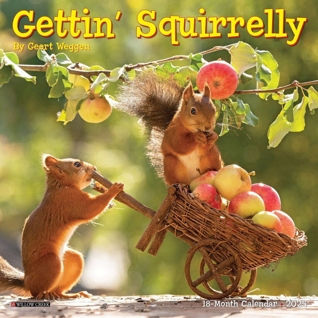 Willow Creek Gettin' Squirrelly 2025 7