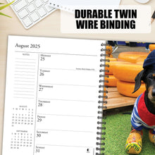 Load image into Gallery viewer, Willow Creek Crusoe the Celebrity Dachshu 2025 6.5&quot; x 8.5&quot; Engagement Calendar
