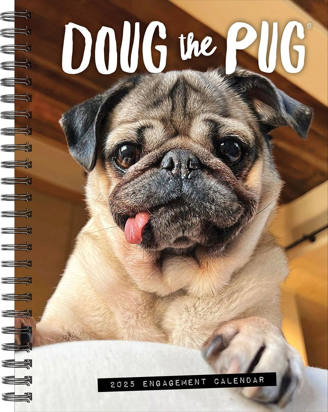 Willow Creek Doug the Pug 2025 6.5