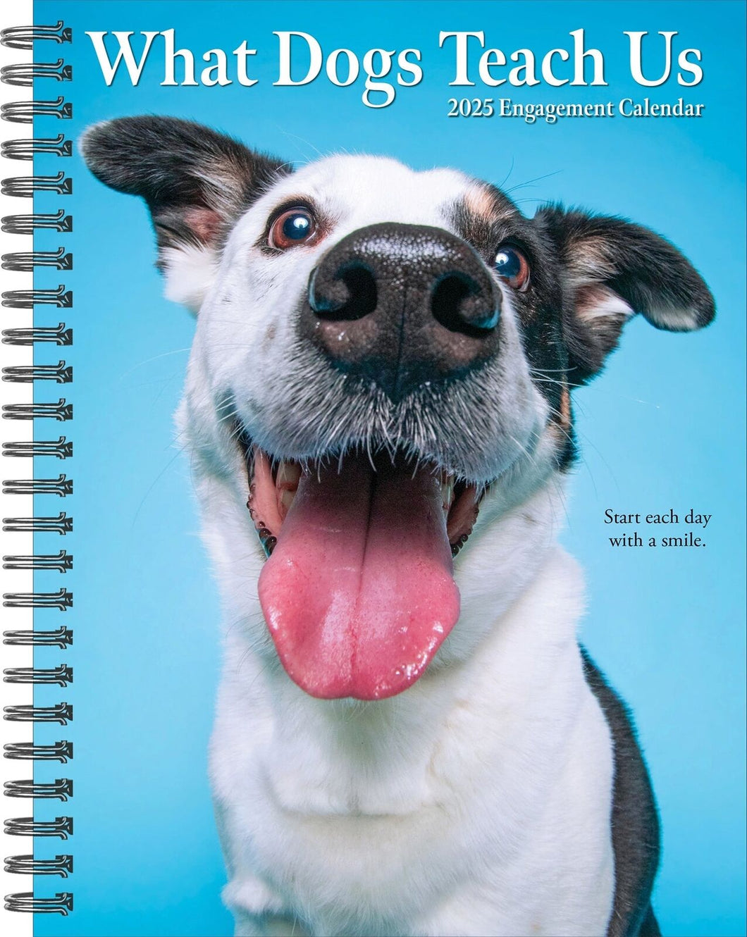 Willow Creek What Dogs Teach Us 2025 6.5