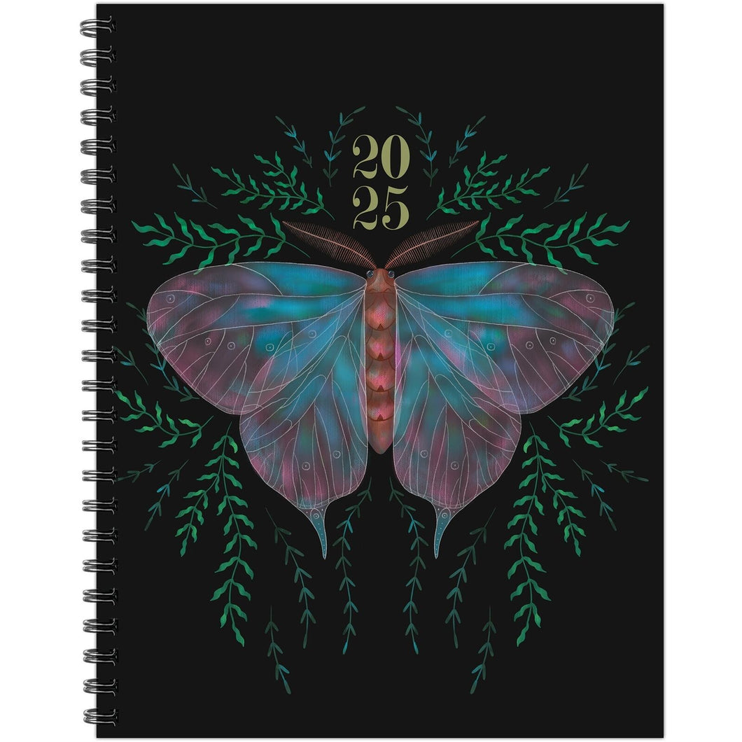 Willow Creek Mystic Butterfly 2025 Weekly Planner