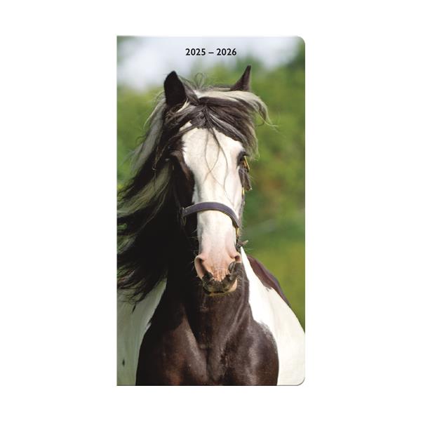 Trends International Horses 2 Year 2025-2026 Pocket Planner