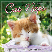 Load image into Gallery viewer, Sellers Publishing Cat Naps 2025 7 x 7 Mini Calendar
