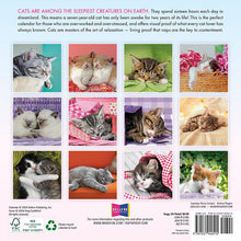 Load image into Gallery viewer, Sellers Publishing Cat Naps 2025 7 x 7 Mini Calendar
