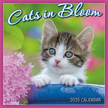 Load image into Gallery viewer, Sellers Publishing Cats In Bloom 2025 7 x 7 Mini Calendar
