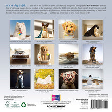 Load image into Gallery viewer, Sellers Publishing Dogma 2025 7 x 7 Mini Calendar
