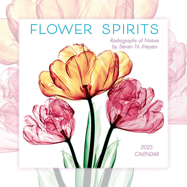 Sellers Publishing Flower Spirits 2025 7 x 7 Mini Calendar