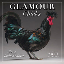 Load image into Gallery viewer, Sellers Publishing Glamour Chicks 2025 7 x 7 Mini Calendar
