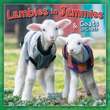 Load image into Gallery viewer, Sellers Publishing Lambies In Jammies 2025 7 x 7 Mini Calendar
