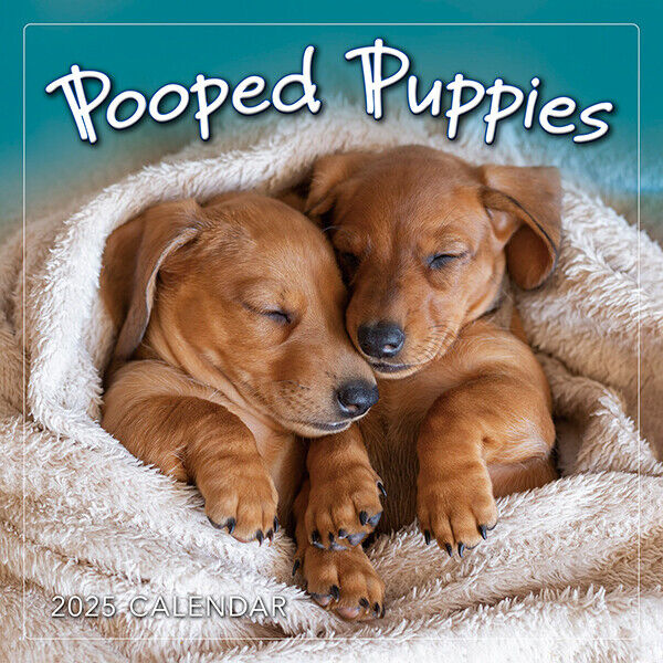 Sellers Publishing Pooped Puppies 2025 7 x 7 Mini Calendar