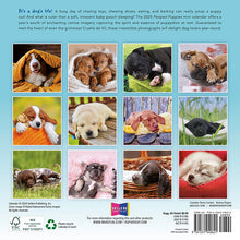 Load image into Gallery viewer, Sellers Publishing Pooped Puppies 2025 7 x 7 Mini Calendar
