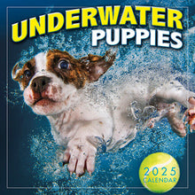 Load image into Gallery viewer, Sellers Publishing Underwater Puppies 2025 7 x 7 Mini Calendar
