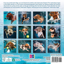 Load image into Gallery viewer, Sellers Publishing Underwater Puppies 2025 7 x 7 Mini Calendar
