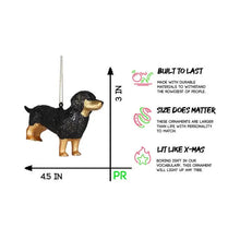 Load image into Gallery viewer, Party Rock Dachshund Glass Ornament
