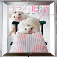 Load image into Gallery viewer, Graphique Happiest Hedgehogs 2024 7 x 7 Mini Calendar
