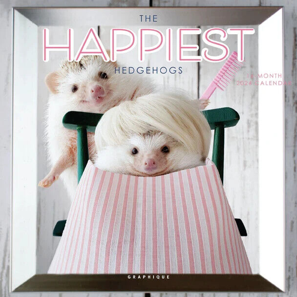 Graphique Happiest Hedgehogs 2024 7 x 7 Mini Calendar