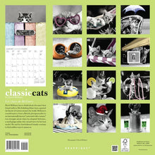 Load image into Gallery viewer, Graphique Classic Cats 2024 12 x 12 Wall Calendar
