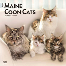 Load image into Gallery viewer, Browntrout Maine Coon Cats 2024 12 x 12 Wall Calendar
