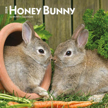 Load image into Gallery viewer, Browntrout Honey Bunny 2024 7 x 7 Mini Calendar
