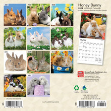 Load image into Gallery viewer, Browntrout Honey Bunny 2024 7 x 7 Mini Calendar
