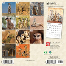 Load image into Gallery viewer, Browntrout Meerkats 2024 7 x 7 Mini Calendar
